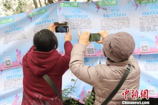 濟南三月三相親會，銀發團扎堆難尋良緣